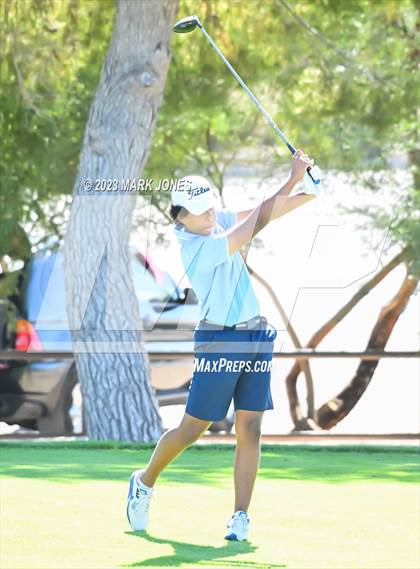 Thumbnail 3 in AIA DII Boys State Golf Championship photogallery.