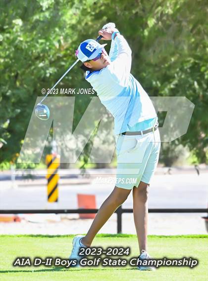Thumbnail 1 in AIA DII Boys State Golf Championship photogallery.