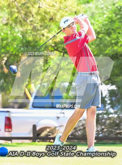 Thumbnail 1 in AIA DII Boys State Golf Championship photogallery.