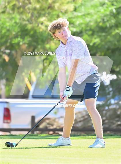 Thumbnail 1 in AIA DII Boys State Golf Championship photogallery.