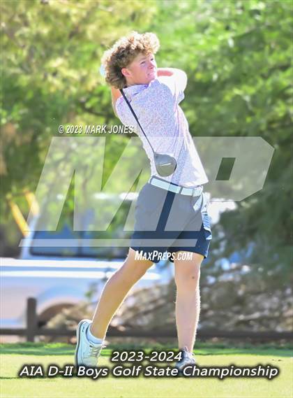 Thumbnail 2 in AIA DII Boys State Golf Championship photogallery.