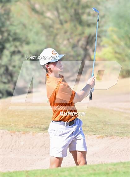 Thumbnail 3 in AIA DII Boys State Golf Championship photogallery.