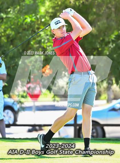 Thumbnail 3 in AIA DII Boys State Golf Championship photogallery.