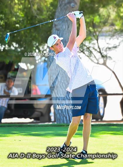 Thumbnail 1 in AIA DII Boys State Golf Championship photogallery.