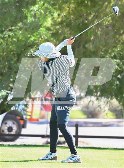 Thumbnail 2 in AIA DII Boys State Golf Championship photogallery.