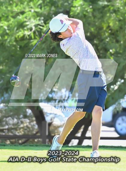 Thumbnail 3 in AIA DII Boys State Golf Championship photogallery.