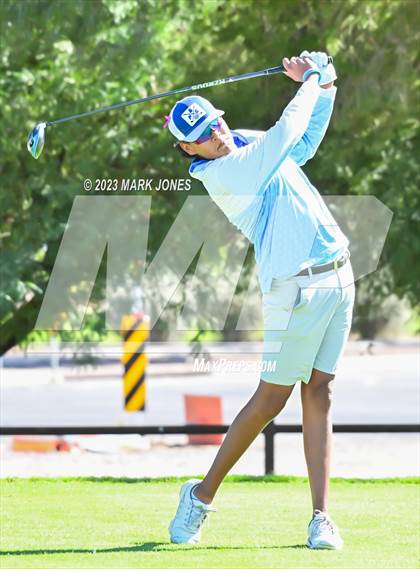 Thumbnail 2 in AIA DII Boys State Golf Championship photogallery.