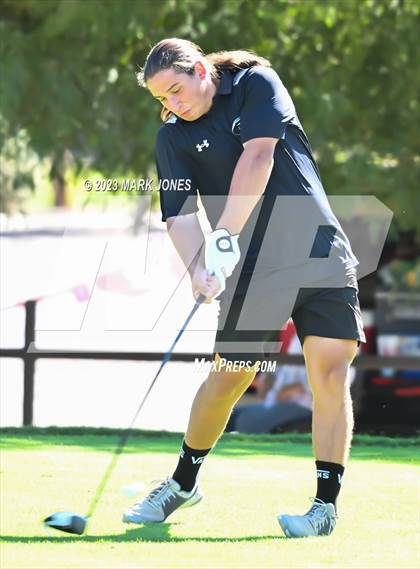Thumbnail 1 in AIA DII Boys State Golf Championship photogallery.