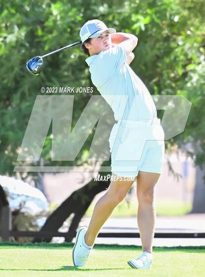 Thumbnail 3 in AIA DII Boys State Golf Championship photogallery.
