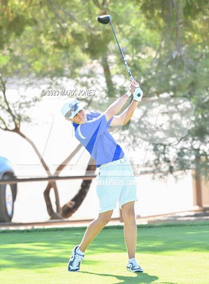 Thumbnail 2 in AIA DII Boys State Golf Championship photogallery.