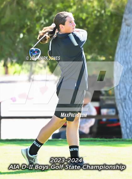Thumbnail 3 in AIA DII Boys State Golf Championship photogallery.