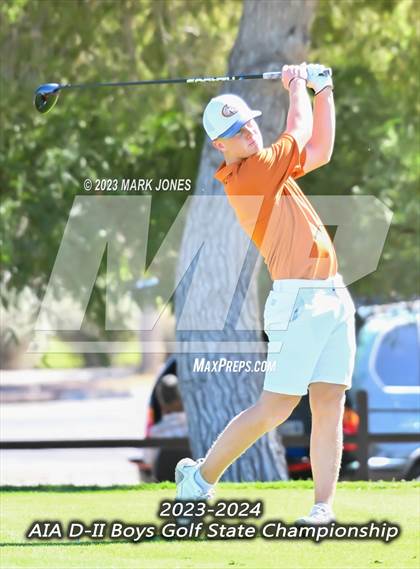 Thumbnail 1 in AIA DII Boys State Golf Championship photogallery.