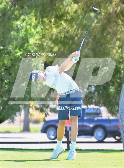 Thumbnail 3 in AIA DII Boys State Golf Championship photogallery.