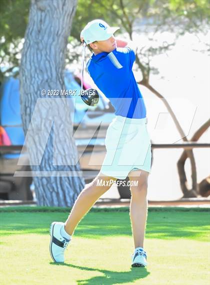 Thumbnail 3 in AIA DII Boys State Golf Championship photogallery.