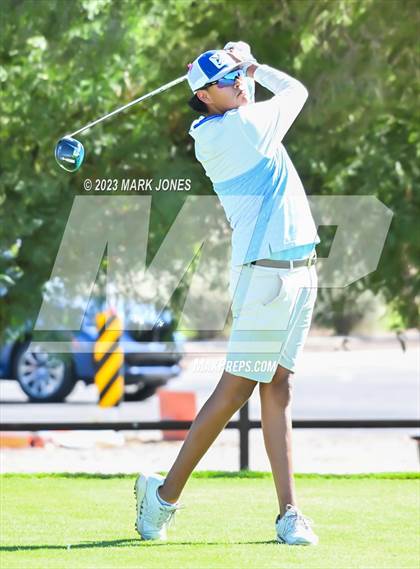 Thumbnail 1 in AIA DII Boys State Golf Championship photogallery.
