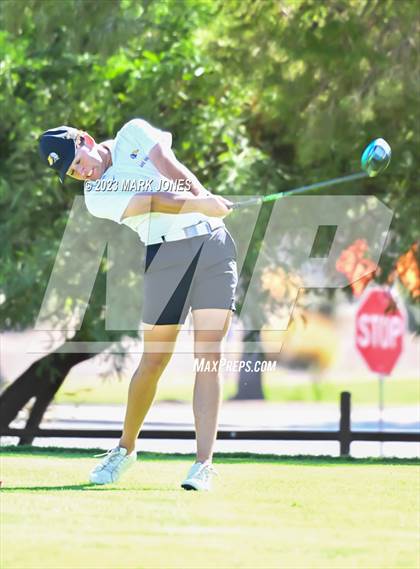 Thumbnail 3 in AIA DII Boys State Golf Championship photogallery.