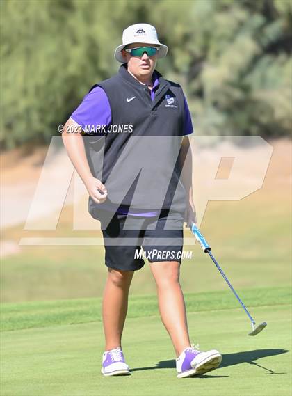 Thumbnail 3 in AIA DII Boys State Golf Championship photogallery.
