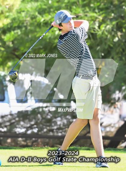 Thumbnail 3 in AIA DII Boys State Golf Championship photogallery.