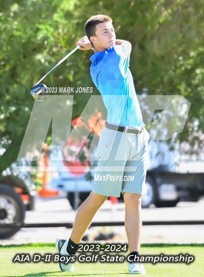 Thumbnail 1 in AIA DII Boys State Golf Championship photogallery.