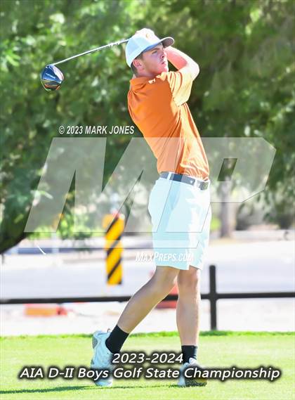 Thumbnail 3 in AIA DII Boys State Golf Championship photogallery.