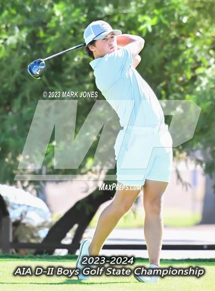 Thumbnail 1 in AIA DII Boys State Golf Championship photogallery.