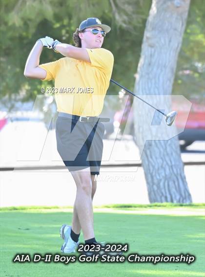Thumbnail 2 in AIA DII Boys State Golf Championship photogallery.