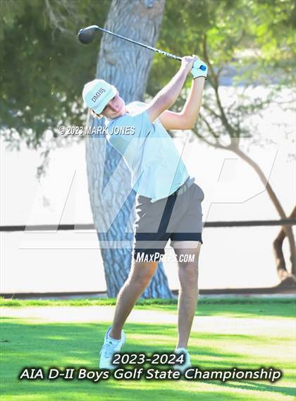 Thumbnail 2 in AIA DII Boys State Golf Championship photogallery.