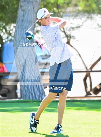 Thumbnail 3 in AIA DII Boys State Golf Championship photogallery.