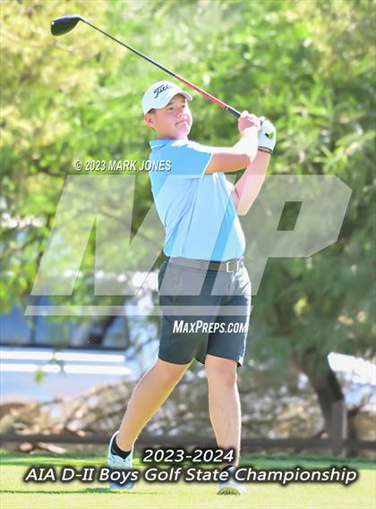 Thumbnail 3 in AIA DII Boys State Golf Championship photogallery.