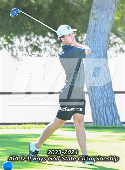 Thumbnail 1 in AIA DII Boys State Golf Championship photogallery.