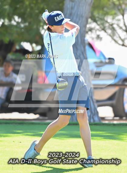 Thumbnail 3 in AIA DII Boys State Golf Championship photogallery.