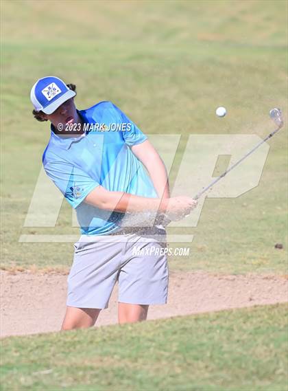 Thumbnail 1 in AIA DII Boys State Golf Championship photogallery.