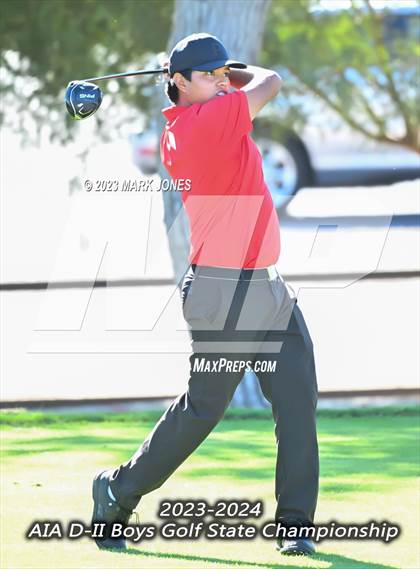 Thumbnail 3 in AIA DII Boys State Golf Championship photogallery.