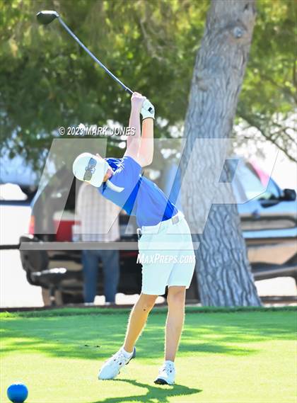 Thumbnail 2 in AIA DII Boys State Golf Championship photogallery.
