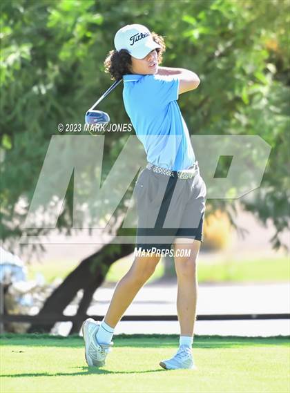 Thumbnail 1 in AIA DII Boys State Golf Championship photogallery.