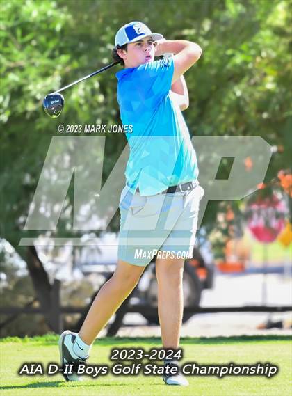 Thumbnail 1 in AIA DII Boys State Golf Championship photogallery.