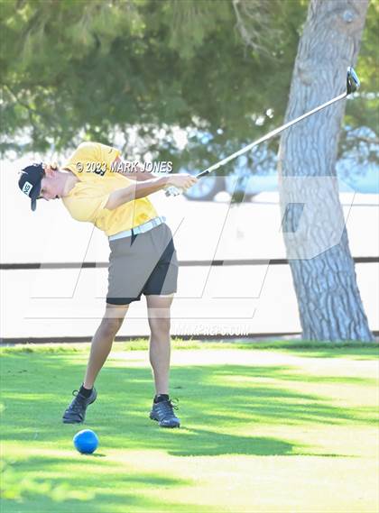Thumbnail 2 in AIA DII Boys State Golf Championship photogallery.