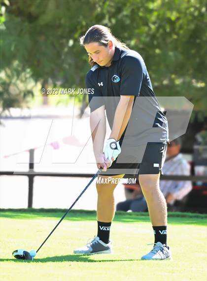 Thumbnail 3 in AIA DII Boys State Golf Championship photogallery.