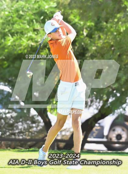 Thumbnail 2 in AIA DII Boys State Golf Championship photogallery.