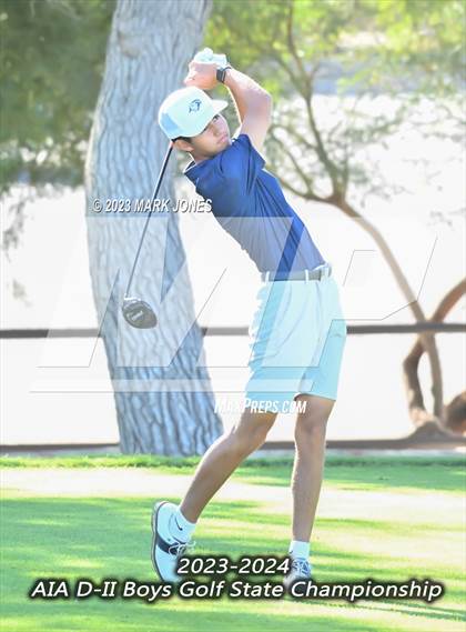 Thumbnail 3 in AIA DII Boys State Golf Championship photogallery.