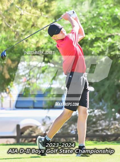 Thumbnail 3 in AIA DII Boys State Golf Championship photogallery.