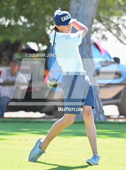 Thumbnail 1 in AIA DII Boys State Golf Championship photogallery.
