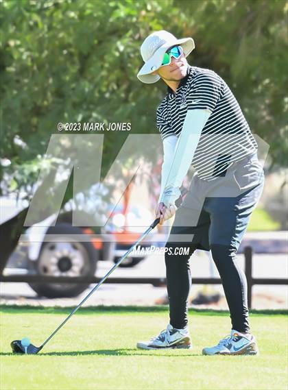 Thumbnail 1 in AIA DII Boys State Golf Championship photogallery.