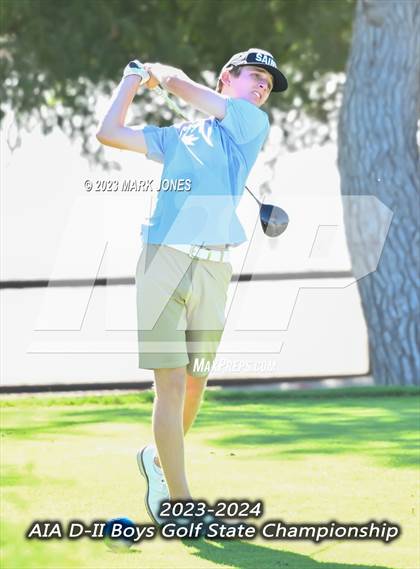 Thumbnail 1 in AIA DII Boys State Golf Championship photogallery.