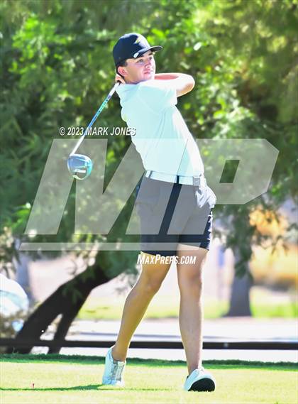 Thumbnail 2 in AIA DII Boys State Golf Championship photogallery.