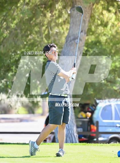 Thumbnail 1 in AIA DII Boys State Golf Championship photogallery.