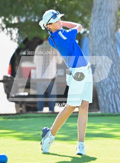 Thumbnail 2 in AIA DII Boys State Golf Championship photogallery.