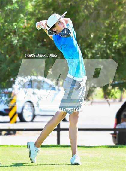 Thumbnail 3 in AIA DII Boys State Golf Championship photogallery.