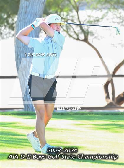 Thumbnail 3 in AIA DII Boys State Golf Championship photogallery.