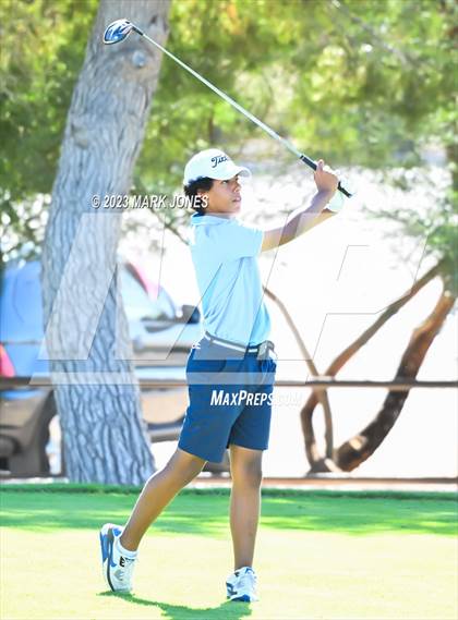 Thumbnail 1 in AIA DII Boys State Golf Championship photogallery.